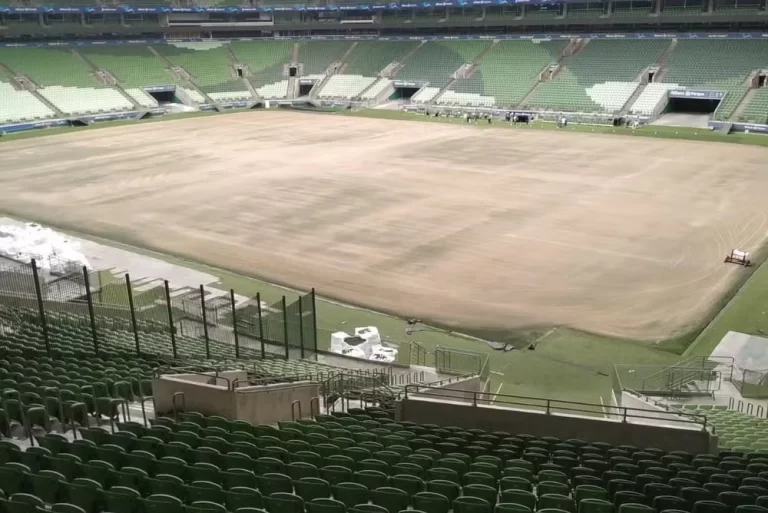 Gramado do Allianz Parque